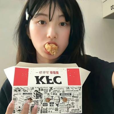 高速路上一只猫